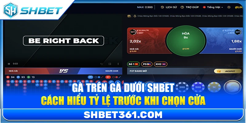 Gà Trên Gà Dưới SHBET – Cách Hiểu Tỷ Lệ Trước Khi Chọn Cửa 1 Gà Trên Gà Dưới SHBET – Cách Hiểu Tỷ Lệ Trước Khi Chọn Cửa