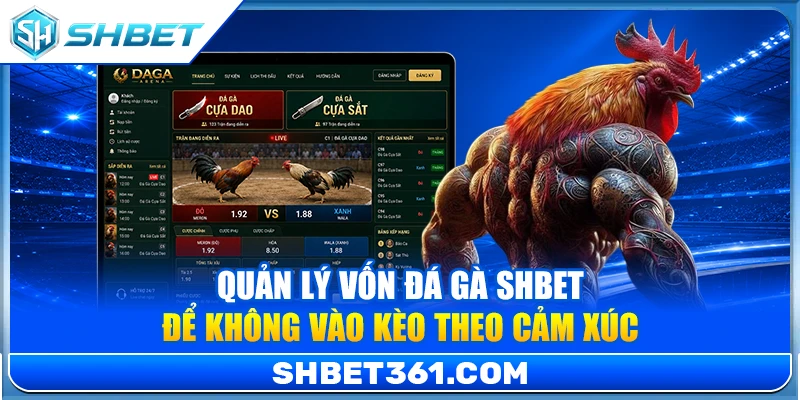 Quản Lý Vốn Đá Gà SHBET Để Không Vào Kèo Theo Cảm Xúc 1 Quản Lý Vốn Đá Gà SHBET Để Không Vào Kèo Theo Cảm Xúc