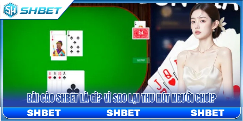 Giải mã bài cào SHBET và yếu tố giúp thu hút thành viên 