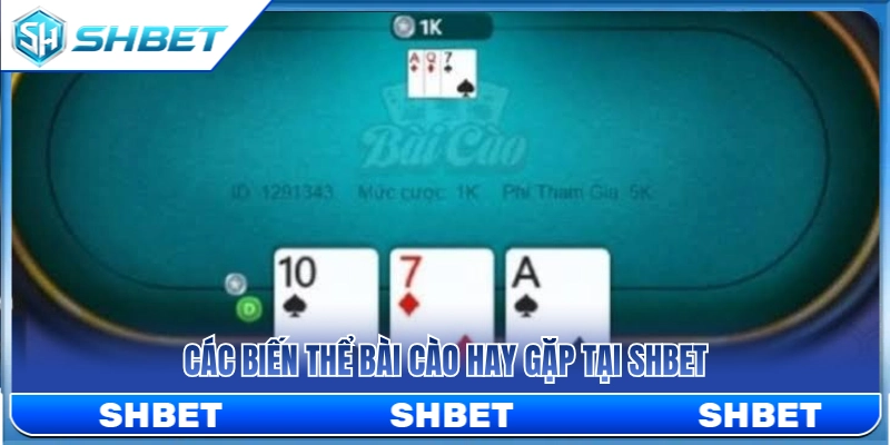 Những dạng bài cào phổ biến thường thấy