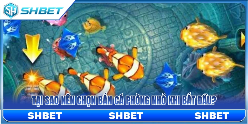 Bắn Cá Phòng Nhỏ SHBET – Cách Chơi Chậm Để Không Hao Đạn 2 Lợi ích của việc chọn phòng cược nhỏ khi mới bắt đầu