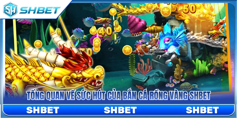 Bắn Cá Rồng Vàng SHBET – Khi Nào Nên Tập Trung Hỏa Lực? 2 Đánh giá độ hấp dẫn của bắn cá rồng vàng SHBET