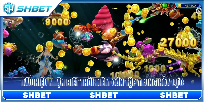 Bắn Cá Rồng Vàng SHBET – Khi Nào Nên Tập Trung Hỏa Lực? 3 Dấu hiệu cho thấy nên dồn toàn bộ hỏa lực