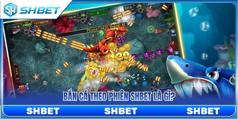 Hiểu rõ về cách thức bắn cá theo phiên SHBET