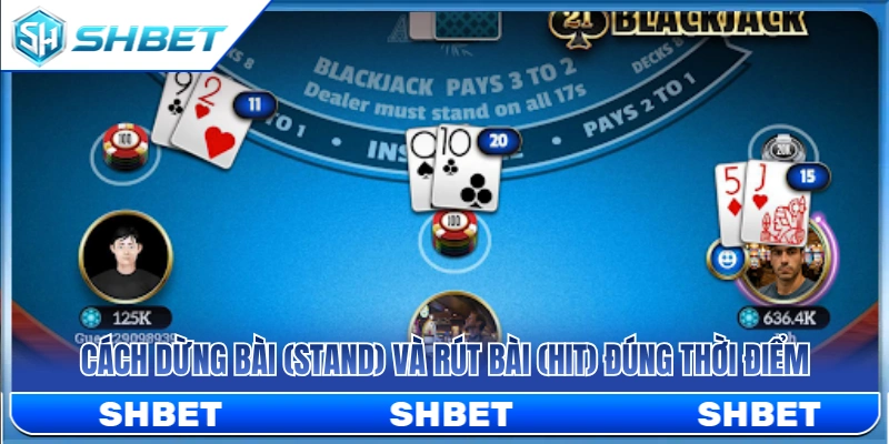 Blackjack SHBET – Cách Tính Điểm Và Dừng Bài Đúng Lúc 4 Bí quyết chọn lệnh Stand và Hit chuẩn xác cho cược thủ