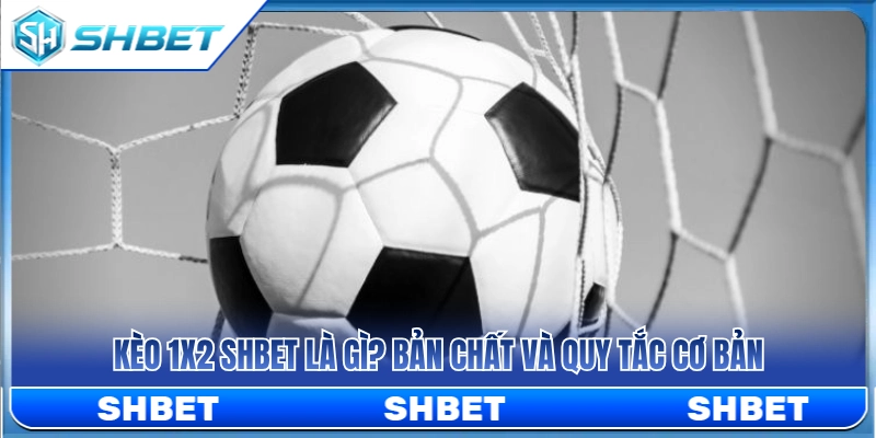 Kèo 1X2 SHBET – Cách Đọc Thắng Hòa Thua Dễ Hiểu 2 Tìm hiểu quy định cơ bản của kèo Châu Âu SHBET