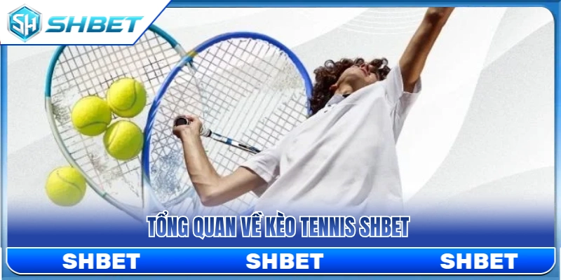 Kèo Tennis SHBET – Cách Đọc Game, Set Và Tỷ Lệ Trận Đấu 2 Khái quát về thị trường kèo tennis SHBET
