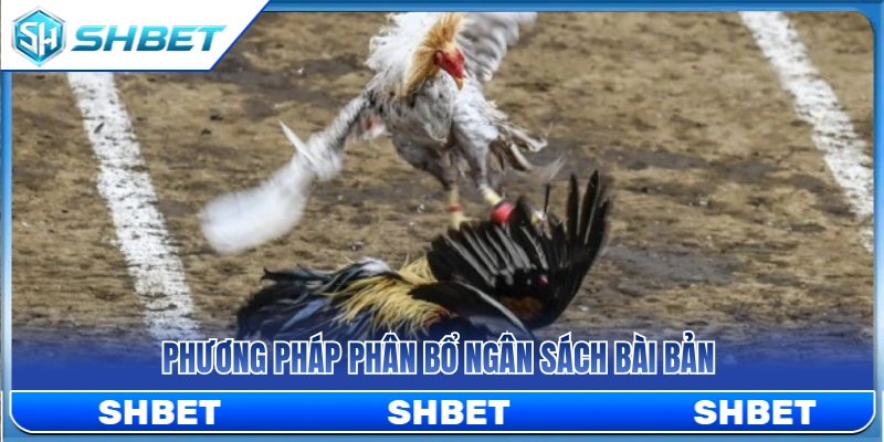 Quản Lý Vốn Đá Gà SHBET Để Không Vào Kèo Theo Cảm Xúc 4 Cách chia tiền cược khoa học và hợp lý