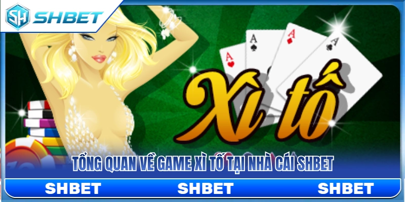 Xì Tố SHBET – Cách Đọc Vòng Tố Và Dừng Đúng Lúc 2 Khái quát về trò chơi xì tố SHBET