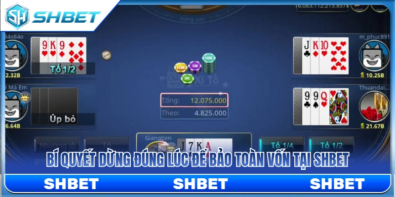 Xì Tố SHBET – Cách Đọc Vòng Tố Và Dừng Đúng Lúc 4 Mẹo rút lui đúng thời điểm để giữ tiền